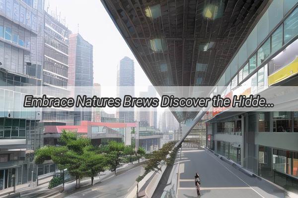 Embrace Natures Brews Discover the Hidden Gem of Guangzhous PlantBased Bubble Tea Paradise